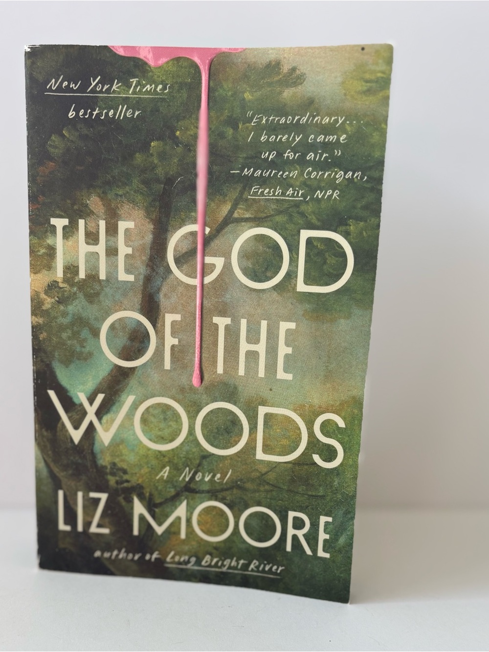 The God of the Woods by Liz Moore - Green Cover Paperback, Suspense, Fiction